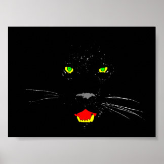 Poster de Pantera Preta