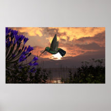 poster de papel 36"x40" com "Voo do Hummingbird