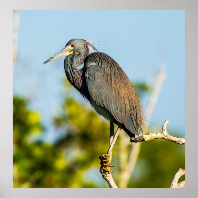 Poster de Papel de Arquivamento 24 x 24,81 Perfeit (Frente)