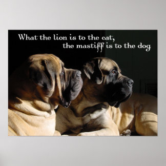 Poster de Par Mastiff