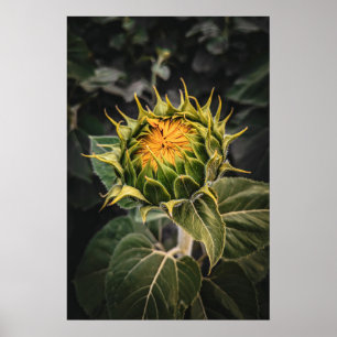 poster de parede 20x30