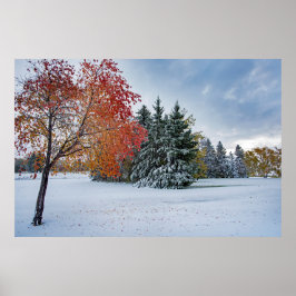 poster de parede 36x24