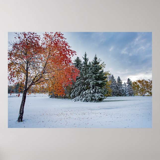 poster de parede 36x24 (Frente)