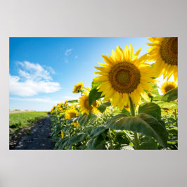 poster de parede 36x24