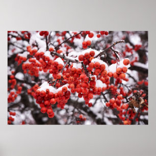 poster de parede 36x24