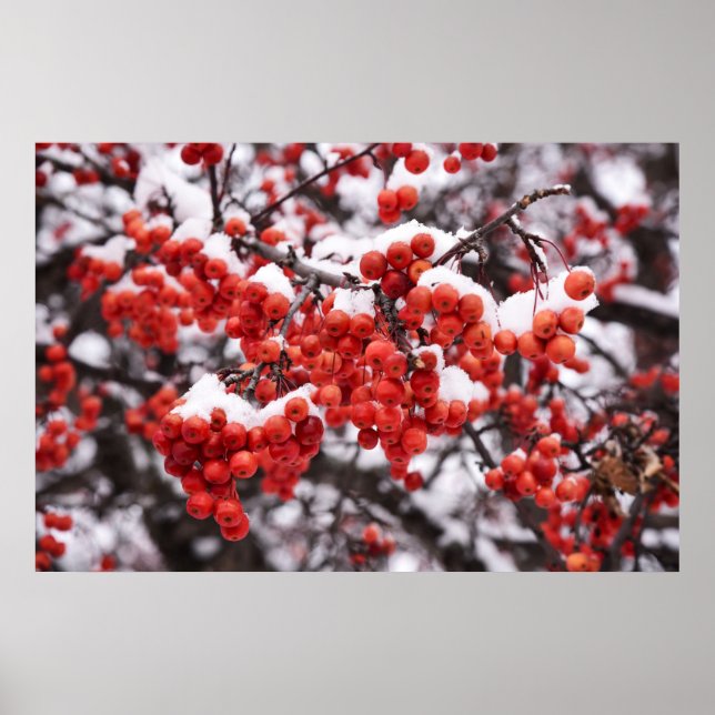 poster de parede 36x24 (Frente)