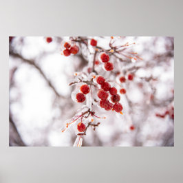 poster de parede 36x24
