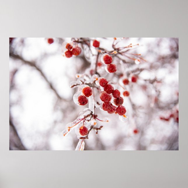 poster de parede 36x24 (Frente)