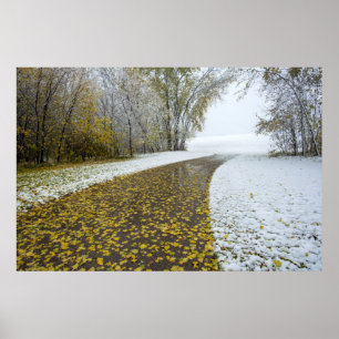 poster de parede 36x24