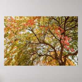 poster de parede 36x24