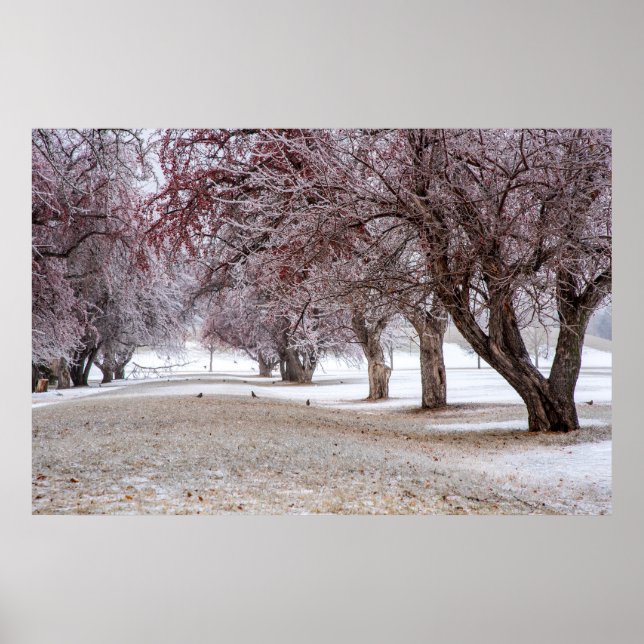 poster de parede 36x24 (Frente)