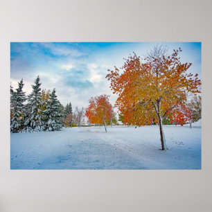 poster de parede 36x24