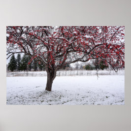 poster de parede 36x24