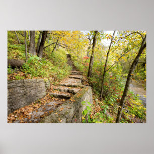 poster de parede 36x24