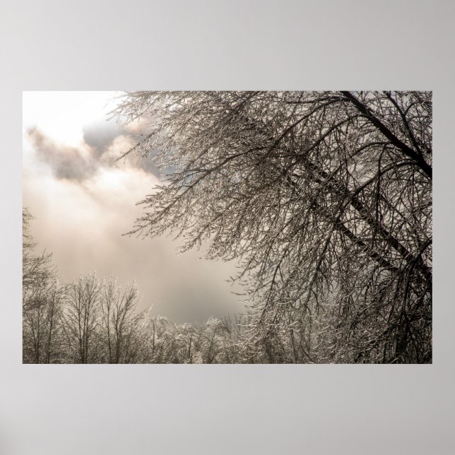 poster de parede 36x24 (Frente)