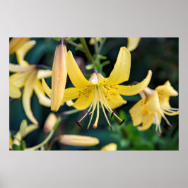 poster de parede 36x24