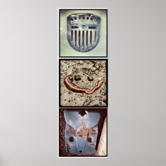 Poster de Pareidolia