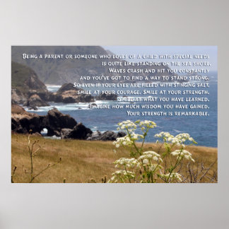 Poster de Parentalidade de necessidades especiais