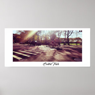 POSTER DE PARQUE CENTRAL DE NOVA IORQUE