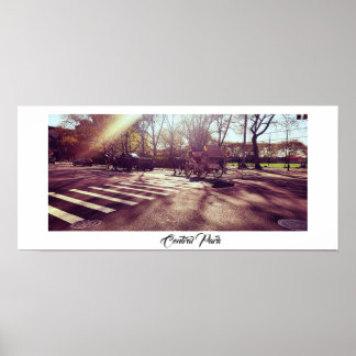 POSTER DE PARQUE CENTRAL DE NOVA IORQUE