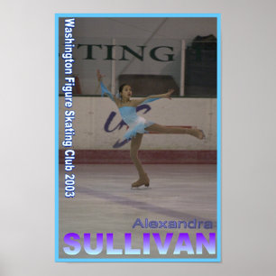 poster de patinagem sullivan