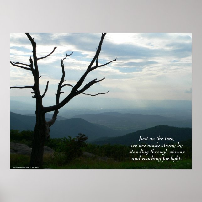 Poster de pé/acesso (Frente)