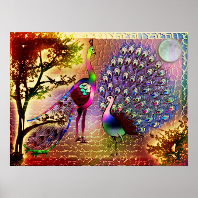 Poster de Peacocks2 (Frente)