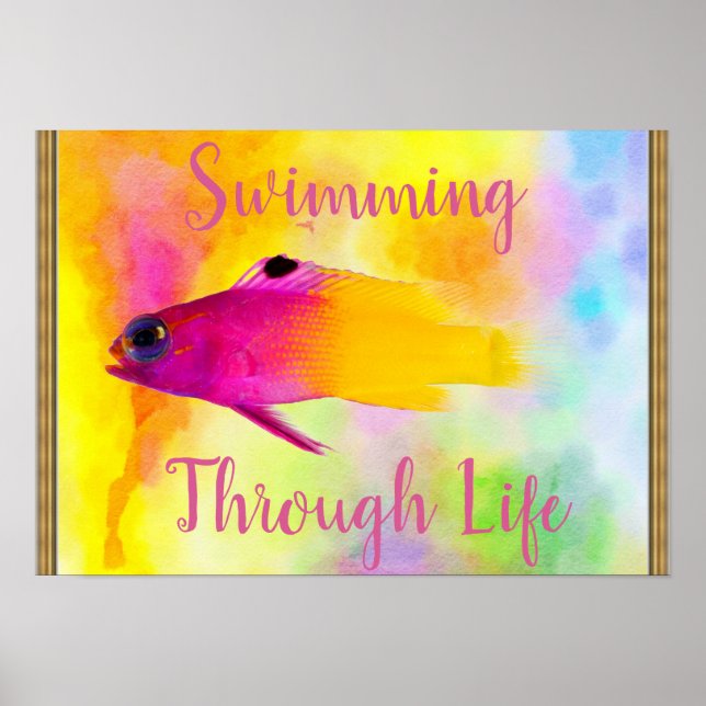 Poster de peixe (Frente)