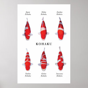 Poster de peixes koi japoneses: Kohaku
