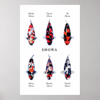 Poster de peixes koi japoneses: Showa