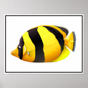 Poster de peixes riscados