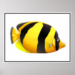 Poster de peixes riscados