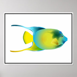 Poster de Peixes Tropicais