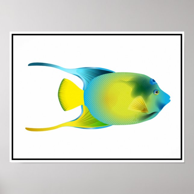 Poster de Peixes Tropicais (Frente)