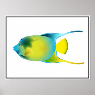 Poster de Peixes Tropicais