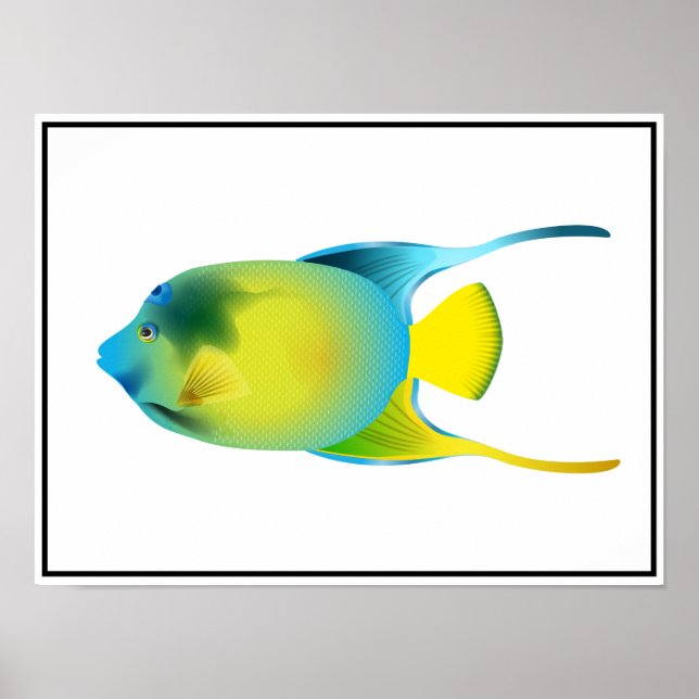Poster de Peixes Tropicais (Frente)