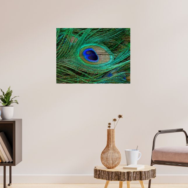 Poster de penas de pavão azul-índio (Sala de Estar 3)