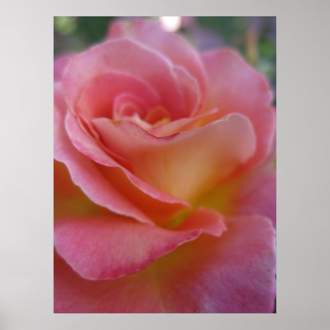 Poster de Pêssego Suave (1) (Frente)