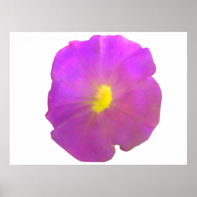 Poster de Petunia roxa (Frente)