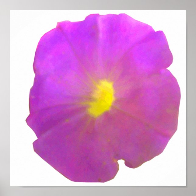 Poster de Petunia roxa (Frente)