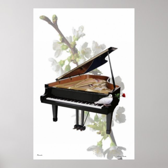 Poster de Piano (Frente)