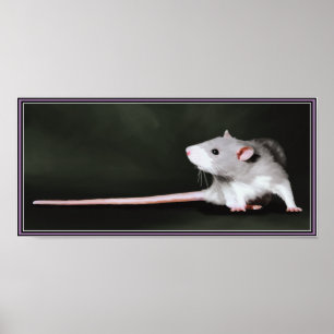 Poster de pintura de "Cute Rat"