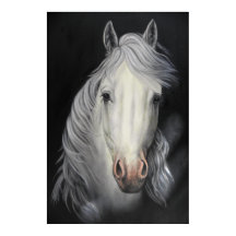 poster de pintura de garanhão branco