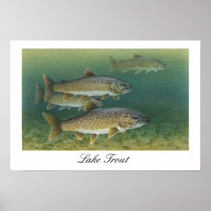 Poster de pintura de Lake Trout