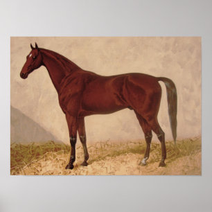Poster de pintura do cavalo árabe