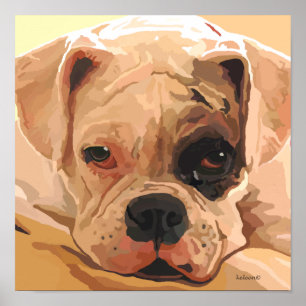 Poster de pintura do rosto do boxer