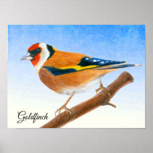 Poster de pintura por aquarela de aves Goldfinch