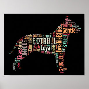 Poster de Pitbull