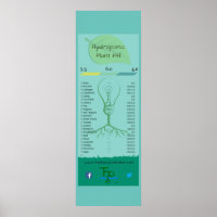 Poster de Planta Hidropônica PH, 12" x 36"