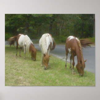 Poster de Ponies Livres